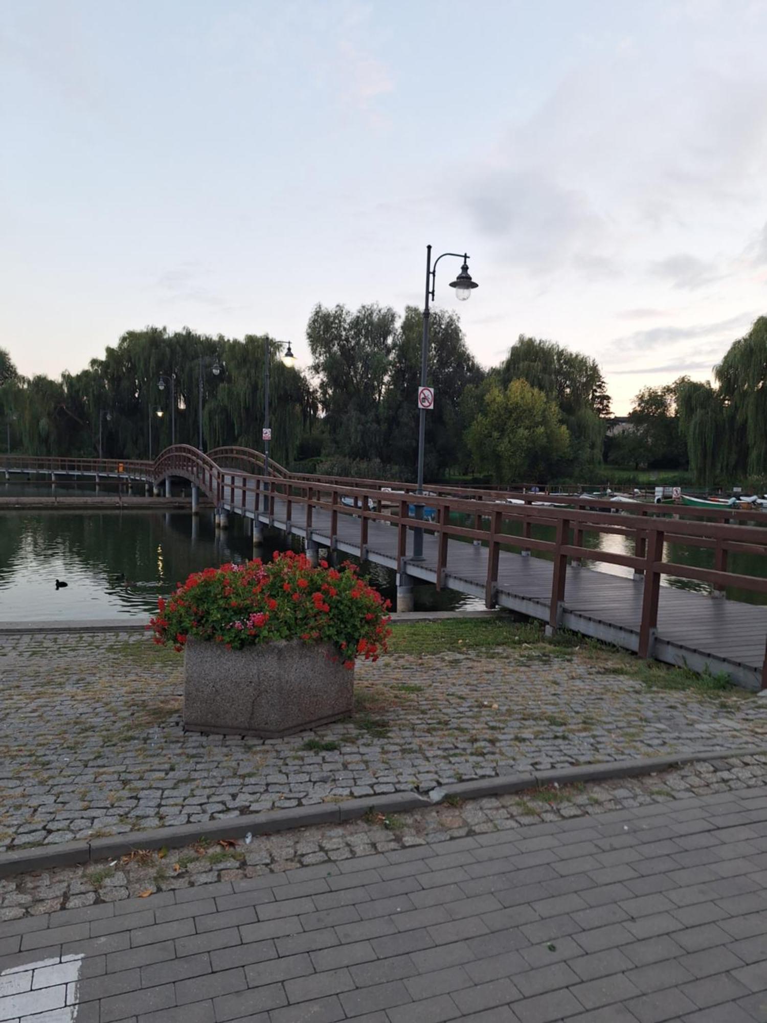 Apartament Chełmża Esterno foto
